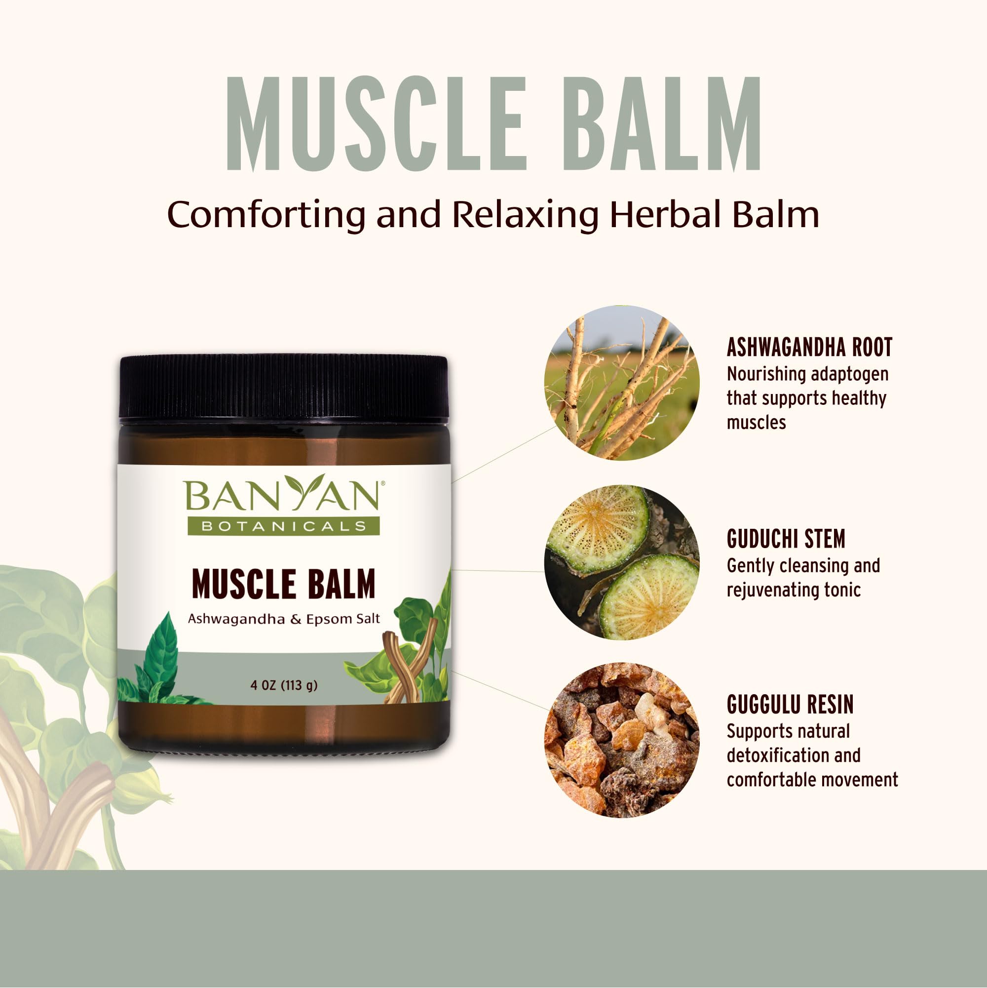 Banyan Botanicals Guduchi stem represents herbal backbone and sourcing ethics