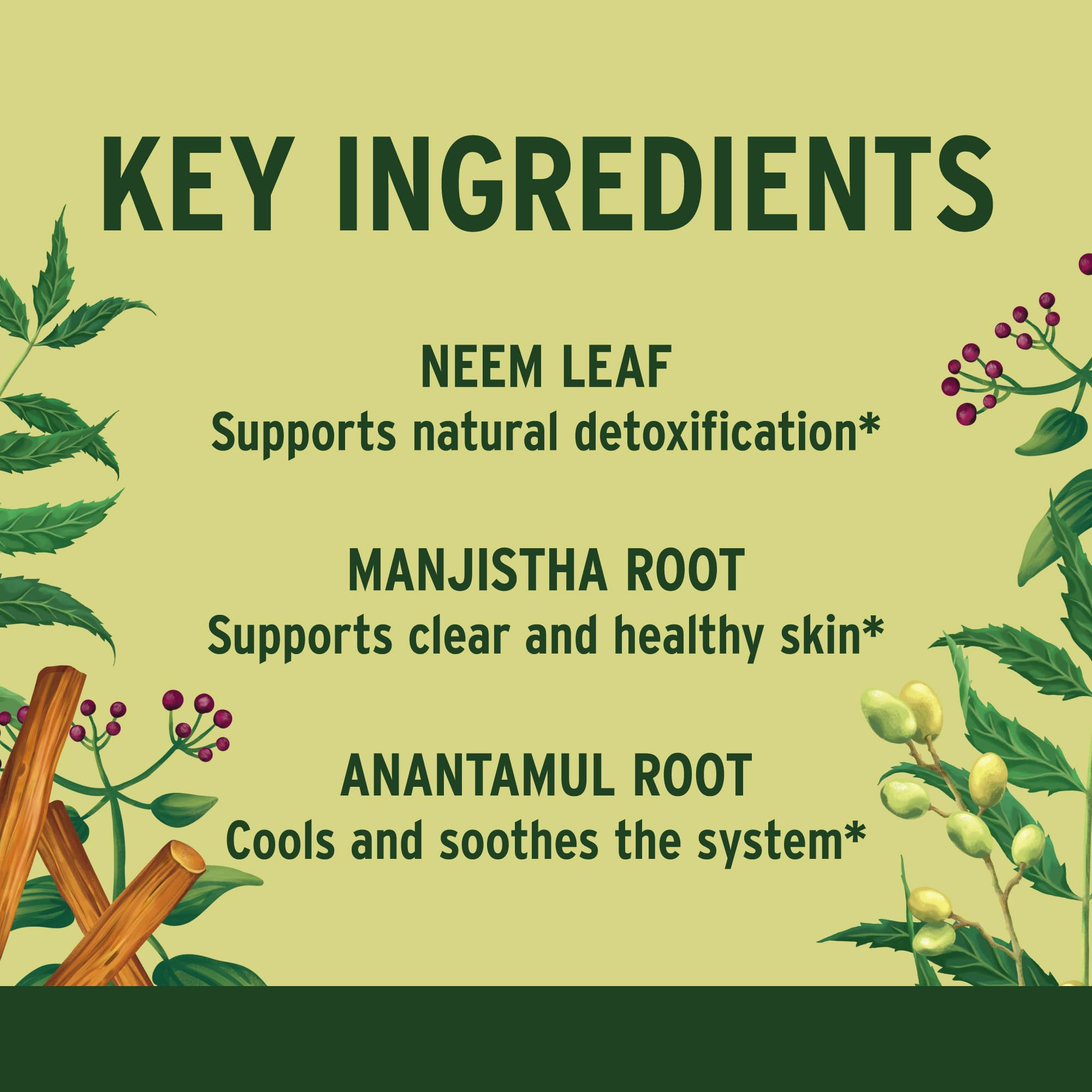 Banyan Botanicals Healthy Skin manjistha root illustrating complexion support