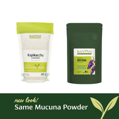 Kapikacchu powder texture in a measuring spoon for convenient daily use.