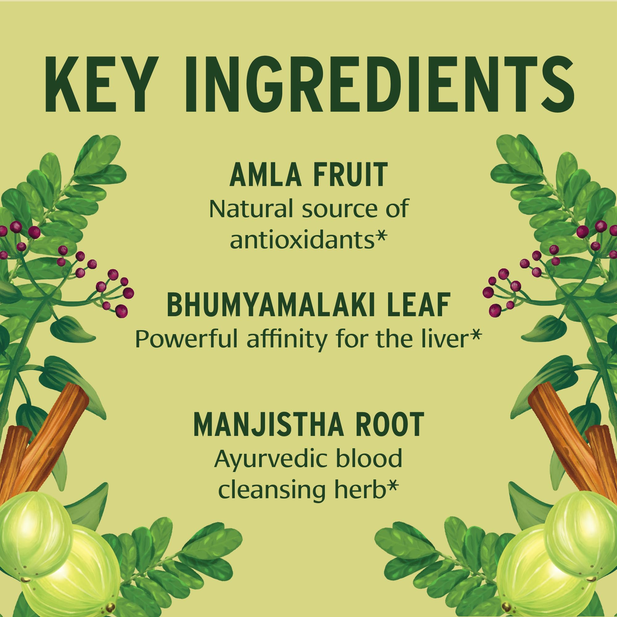 Amla Kalmegh herbal blend image reflecting organic detox herbs.
