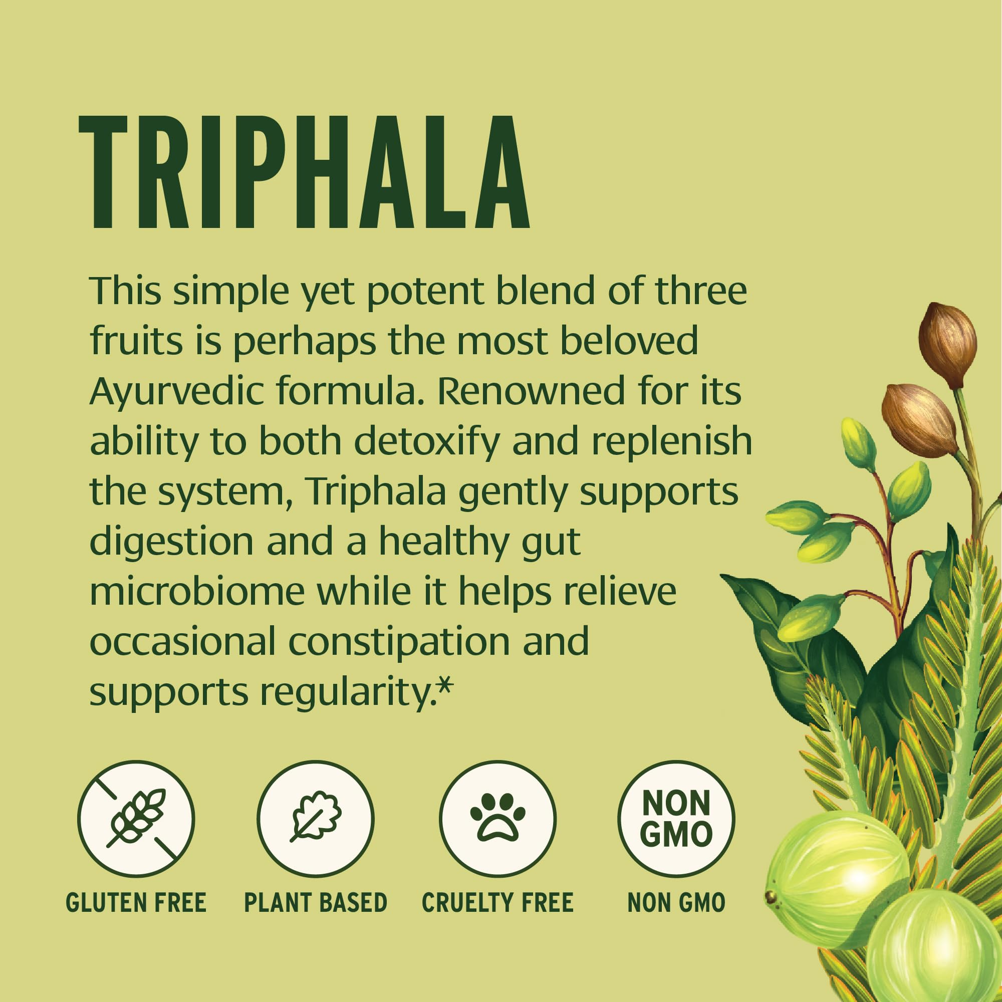 Banyan Botanicals Triphala powder scoop ready-to-use for simple daily portions and smooth digestion support.