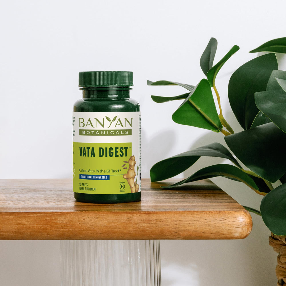 Banyan Botanicals Vata Digest organic ginger and ajamoda cumin ingredients highlighted for digestion.