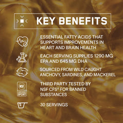 Visual of EPA and DHA composition in BPN Strong Omega Fish Oil for informed supplementation.