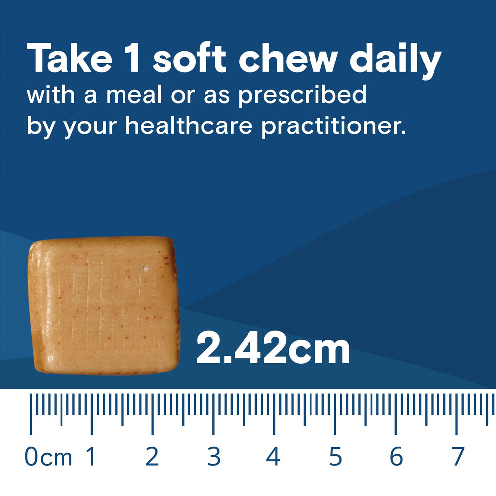 Lifestyle shot of a Bariatric Fusion chew after workout