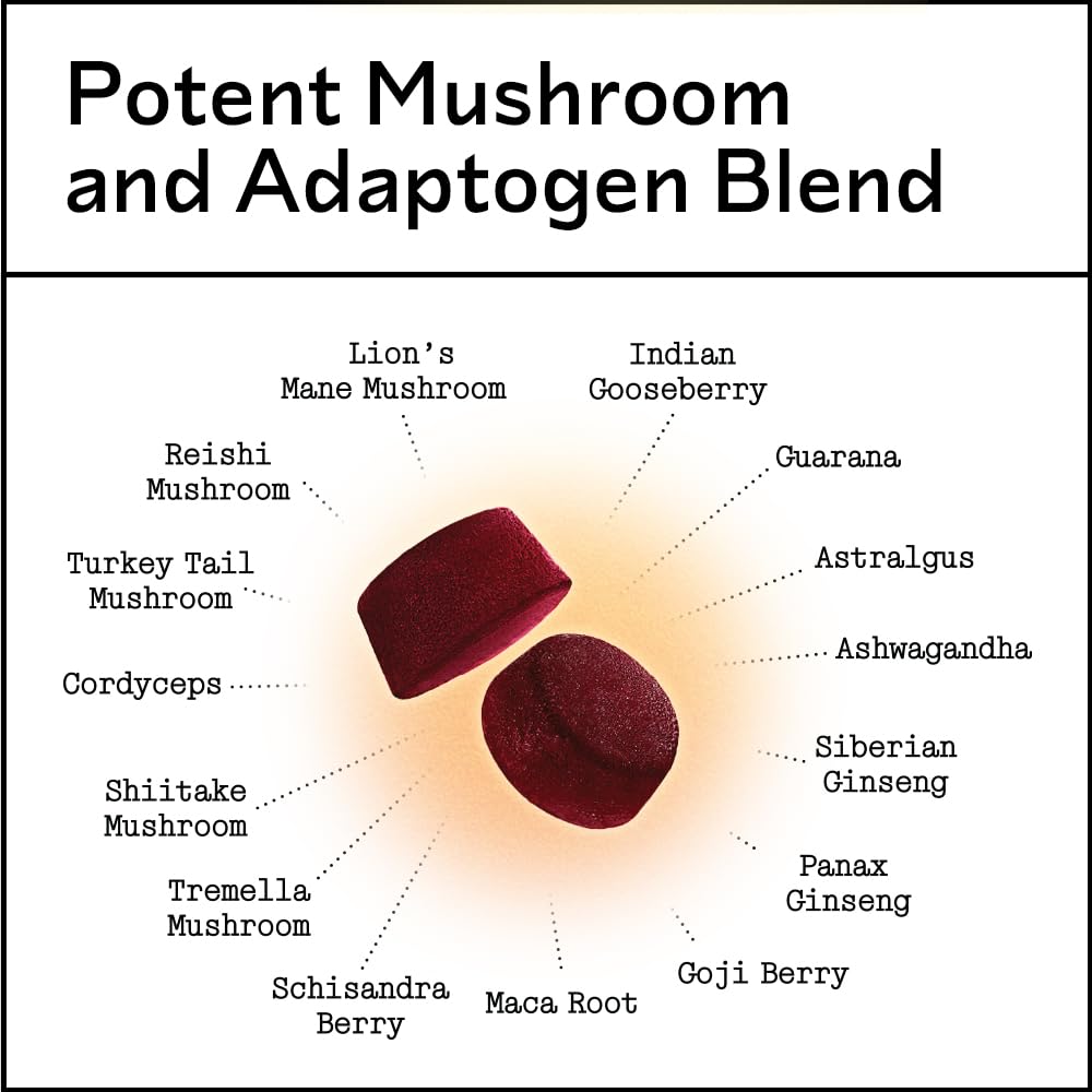 Ingredients panel featuring Lion's Mane and Cordyceps blend for cognitive vitality.