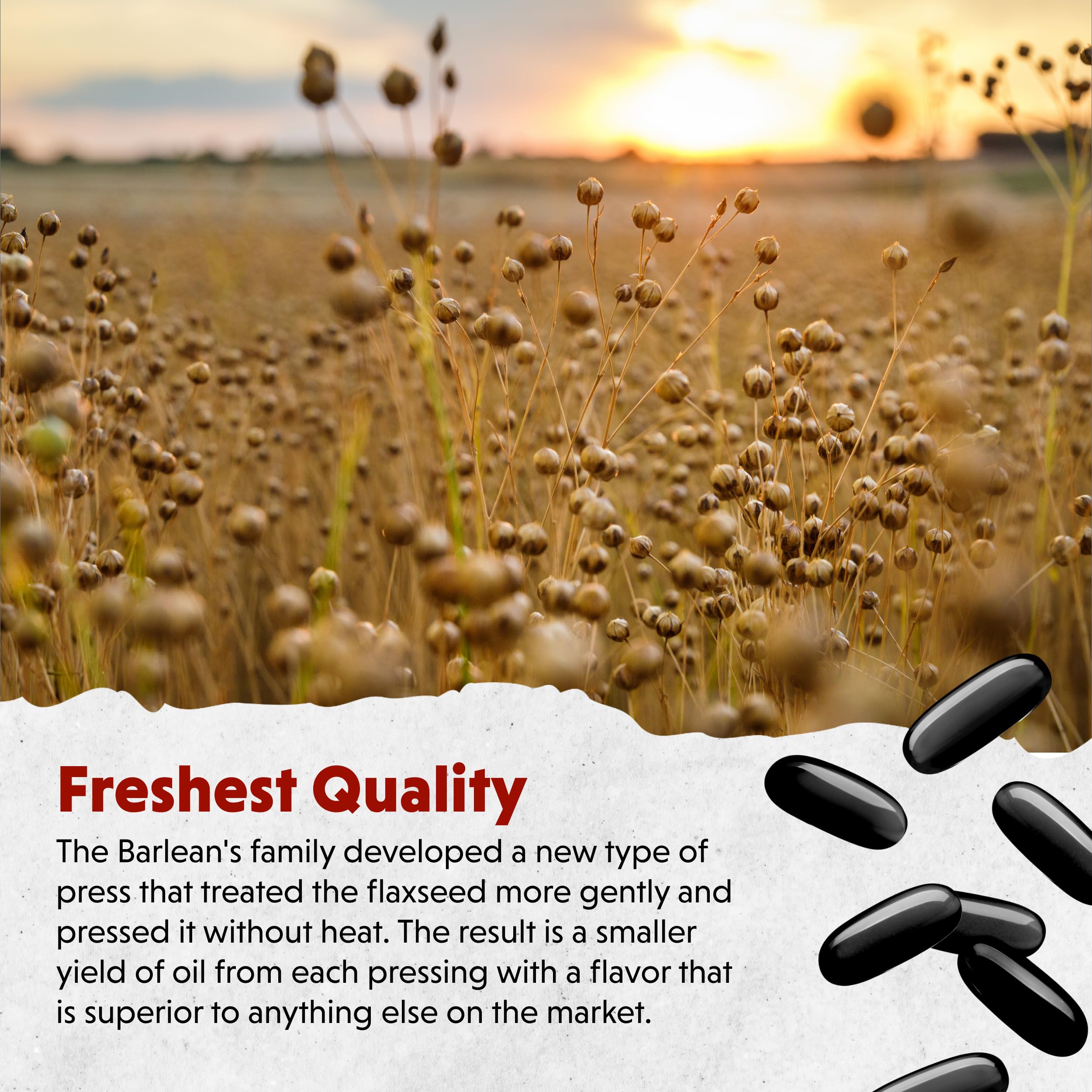 Close view of Barlean's cold-pressed flaxseed oil extraction quality.