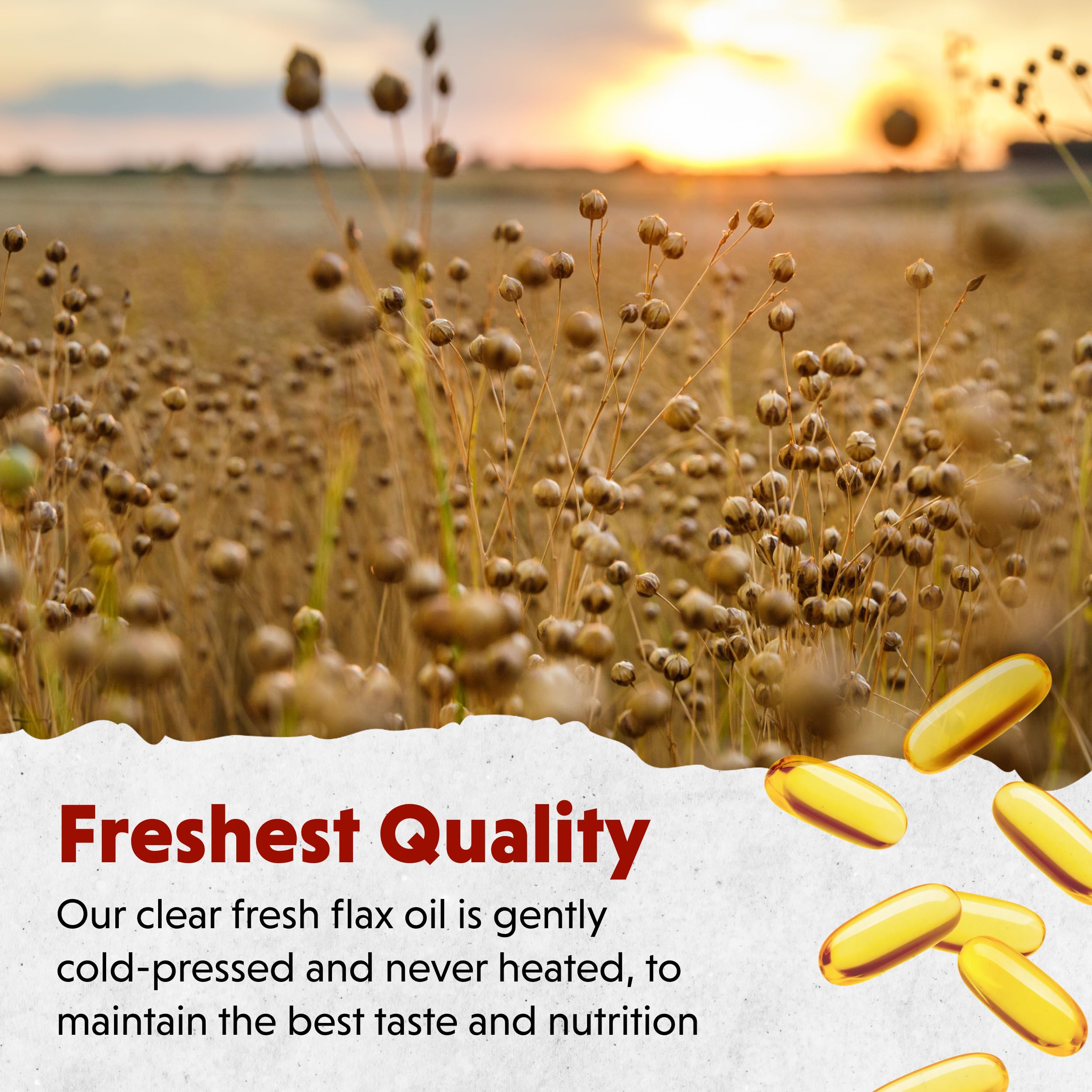 Barlean's Cold-Pressed Flaxseed Oil Softgels bottle shows high ALA per serving.