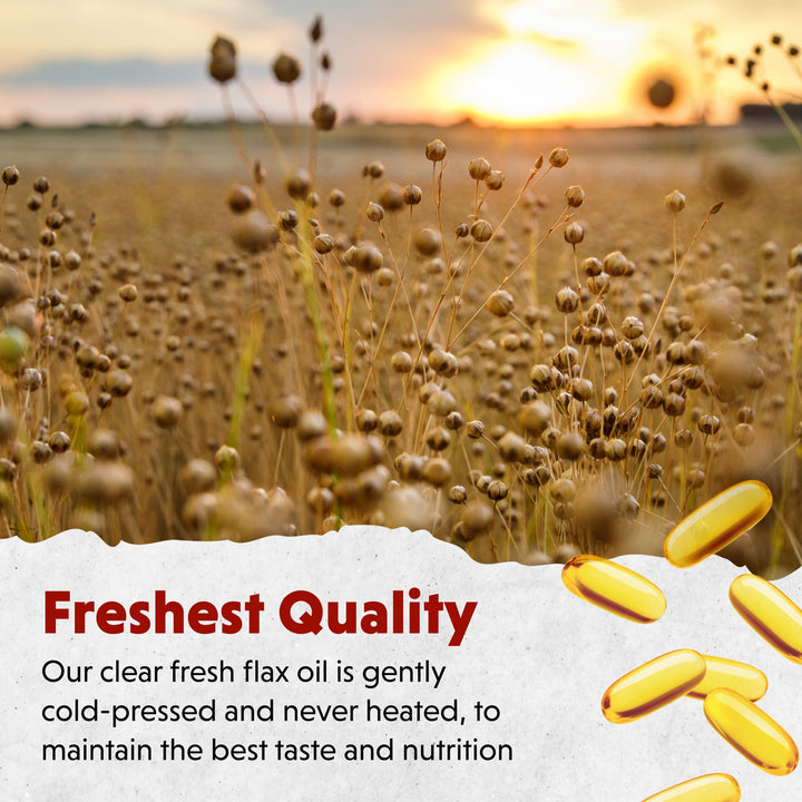 Barlean's Cold-Pressed Flaxseed Oil Softgels bottle shows high ALA per serving.