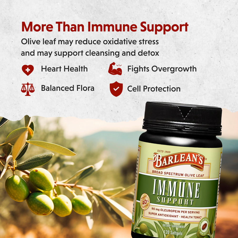 Spanish olive leaves represent Barlean's Andalusia origin.