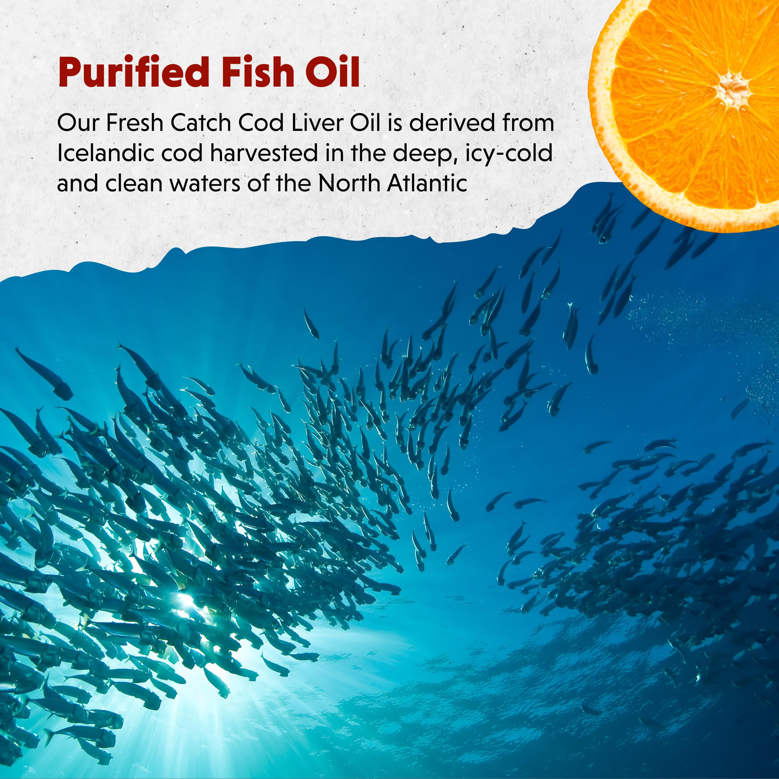 Refrigerated Barlean's Omega-3 bottle maintains freshness after opening.