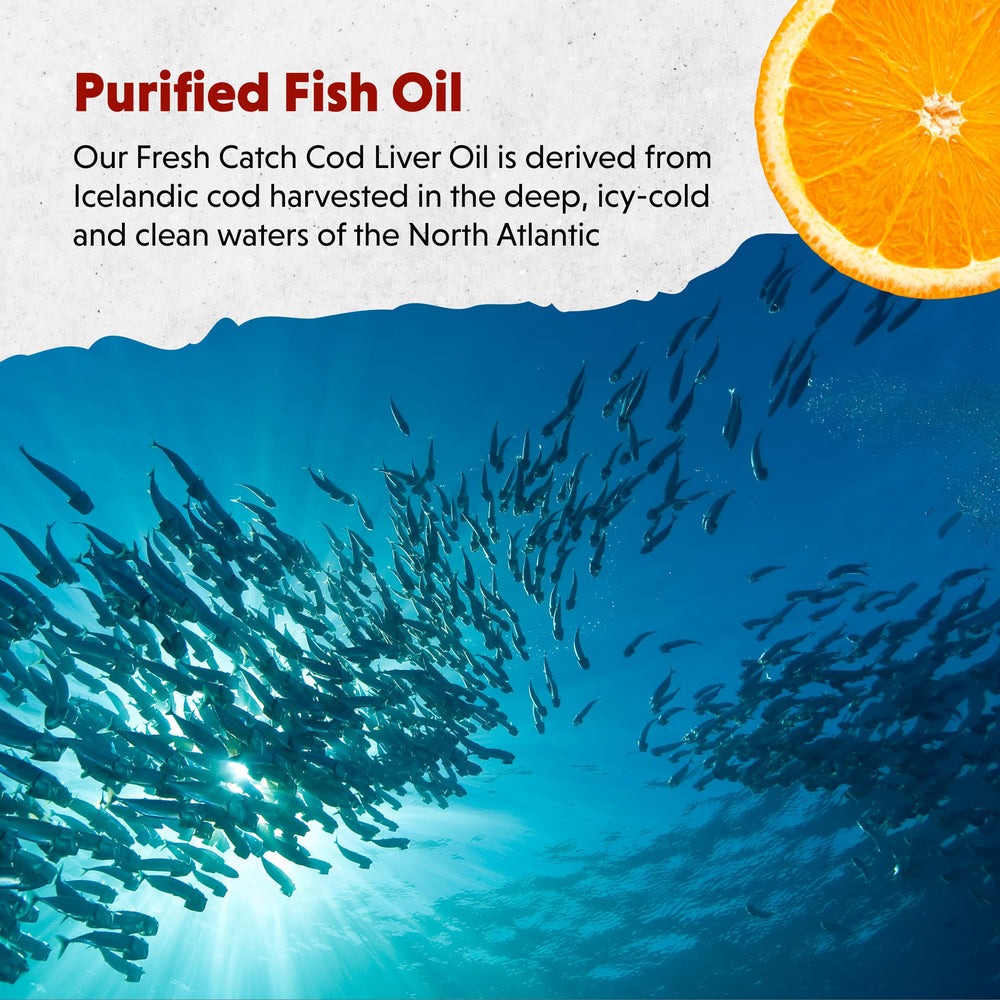 Refrigerated Barlean's Omega-3 bottle maintains freshness after opening.