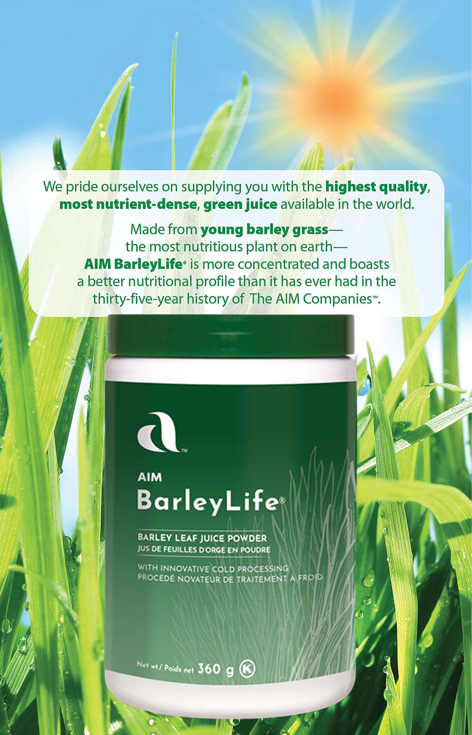 BarleyLife green grass powder on spoon ready to blend with breakfast.