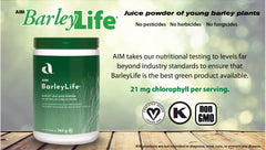 BarleyLife green powder in a shake, versatile beverage option.