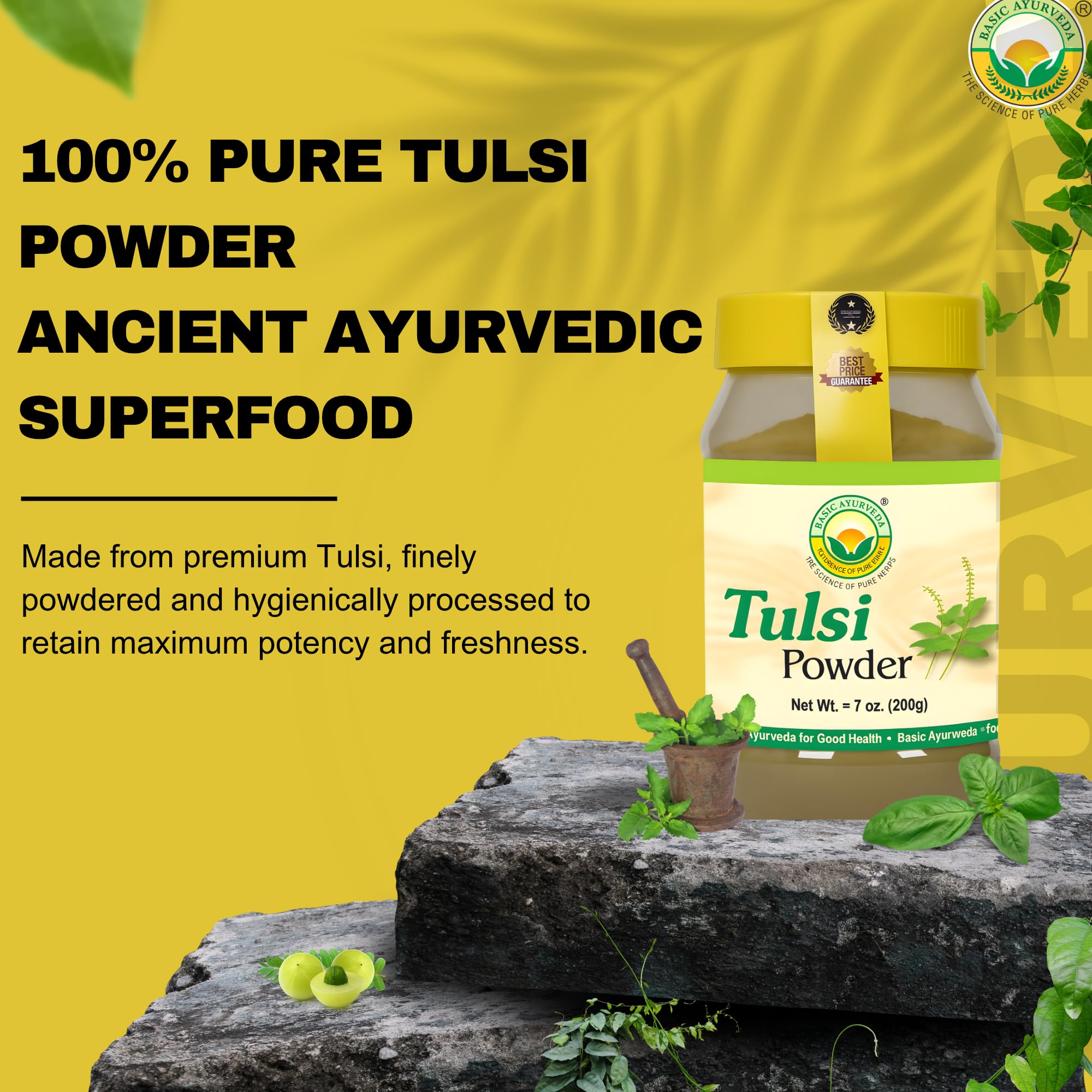 Scoop of Basic Ayurveda Tulsi powder beside jar for smoothies or detox blends