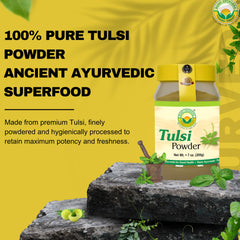 Scoop of Basic Ayurveda Tulsi powder beside jar for smoothies or detox blends