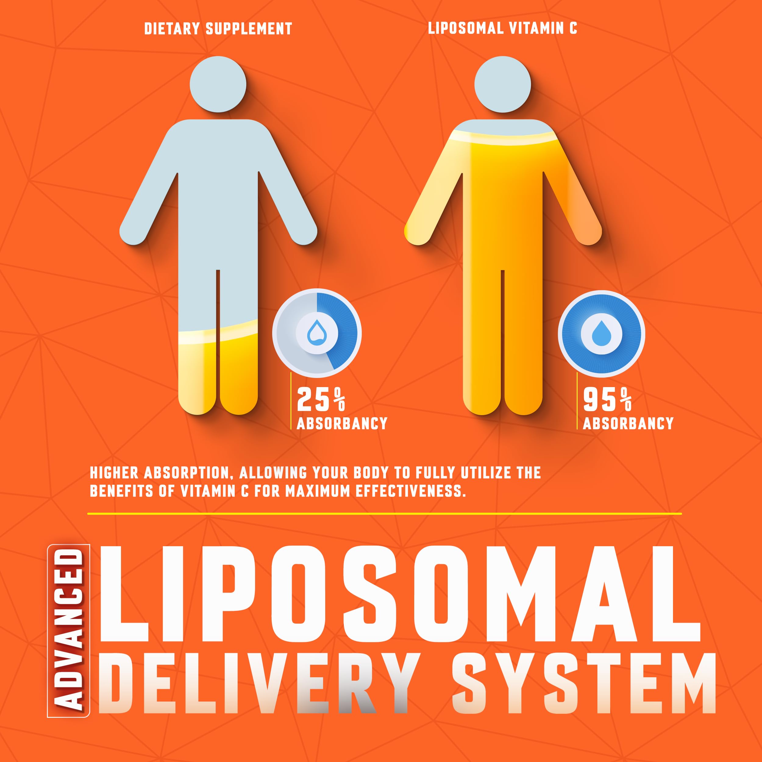 Basic Greens liposomal C promotes skin and collagen-friendly health.