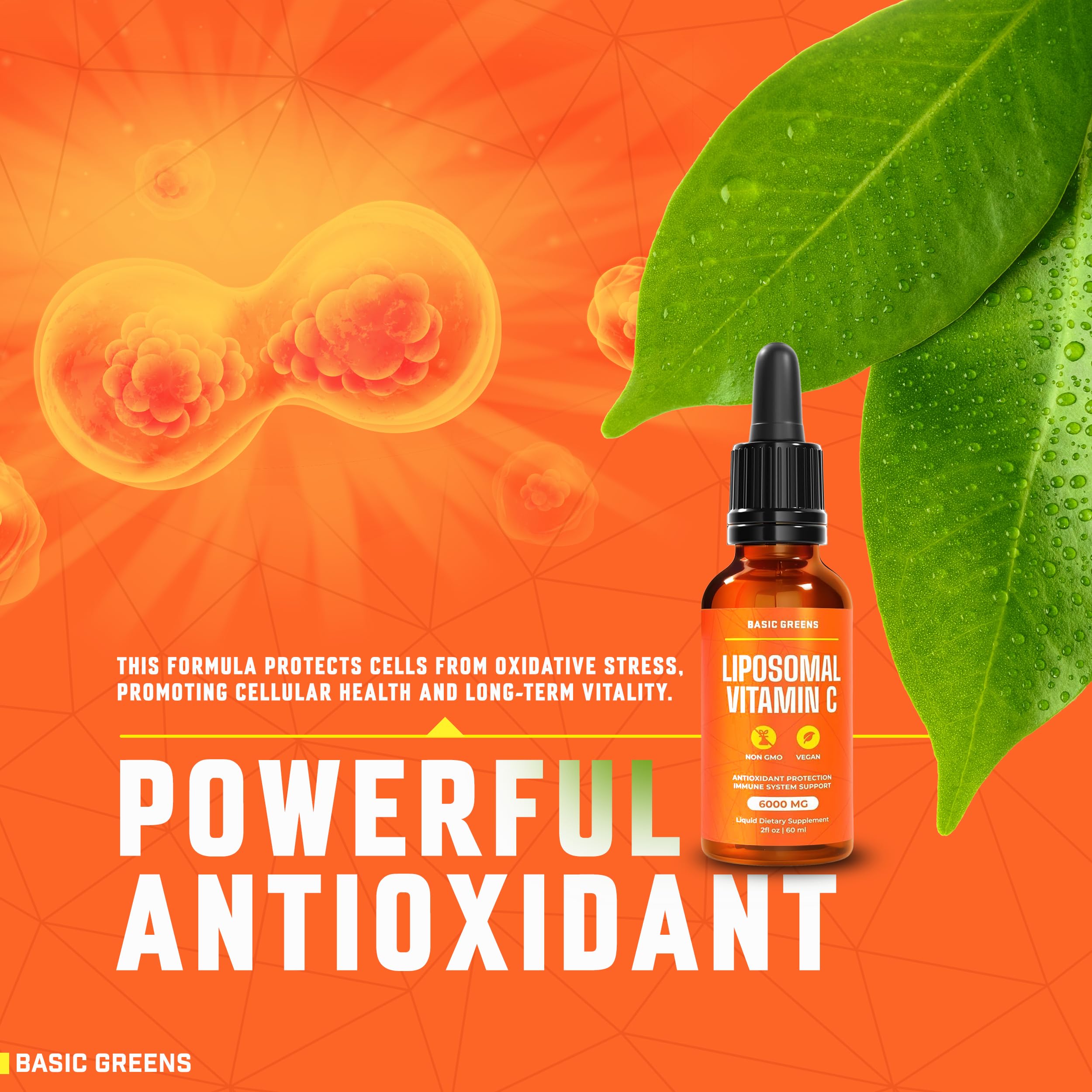 Basic Greens USA-made glass bottle preserves potency and freshness.