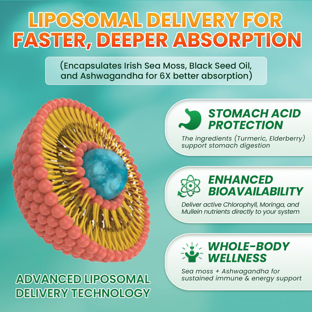 Daily dose of Sea Moss Drops supports digestion and liver detox in smoothies.