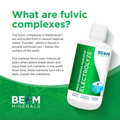 BEAM Minerals bottle label closeup reveals plant-based formula details.