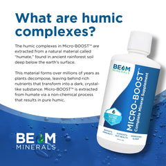 BEAM MINERALS Micro-Boost label tilt emphasizing clean plant-based ingredients