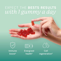 Bears with Benefits Immune Gummies bottle back showing ingredients and nutritional details