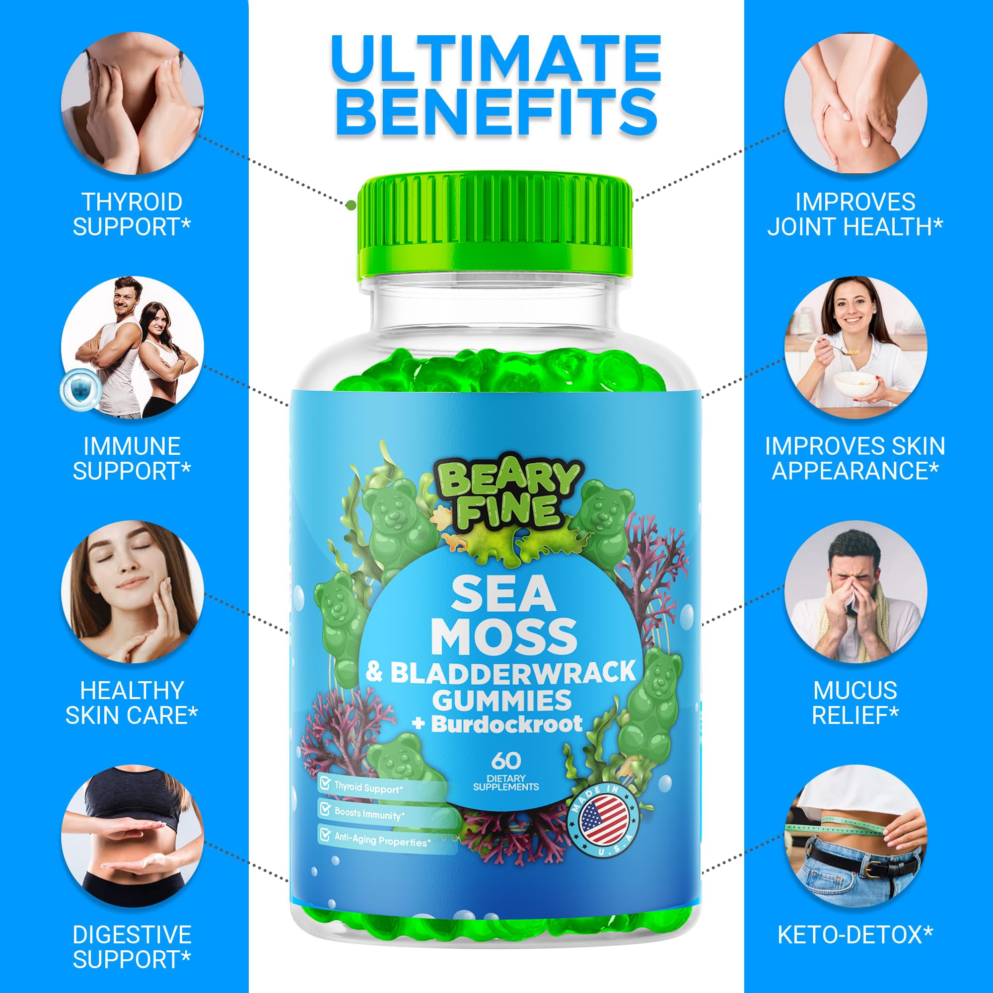 Beary Fine Sea Moss Gummies burdock-root and bladderwrack ingredients panel