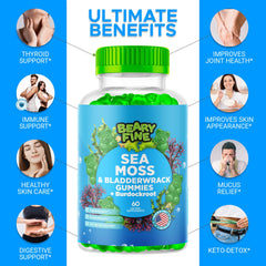 Beary Fine Sea Moss Gummies burdock-root and bladderwrack ingredients panel