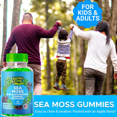 Beary Fine Sea Moss Gummies kids-and-adults dosage chart