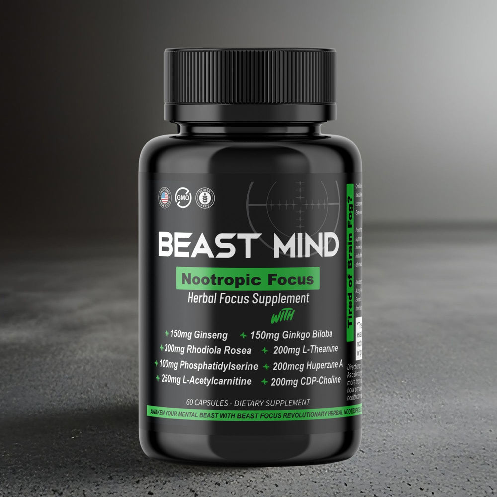 Beast Mind Focus study scene depicts calm focus during exams or learning.
