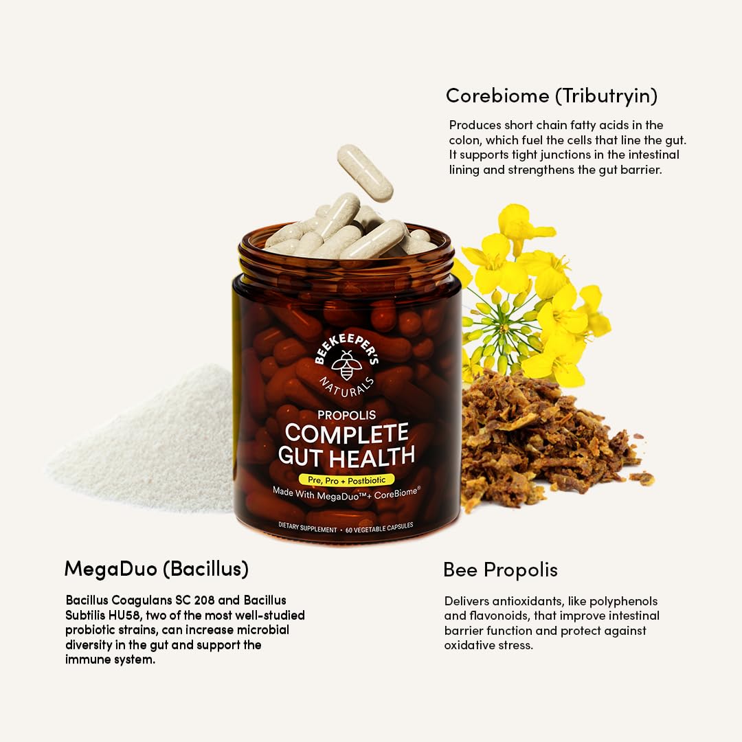 Beekeeper Naturals clinical study chart visual suggesting early gut health improvements.
