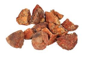 Bel Giri seeds in dried form for traditional ceremonies.