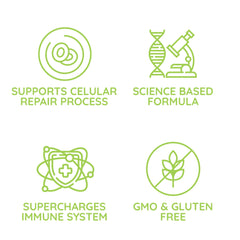 Beljanski Ginkgo V label detail, science-based formula highlighted.