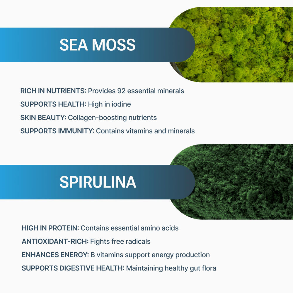 Belmonia sea moss spirulina capsules closeup highlighting natural color and texture.