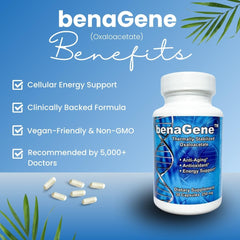 Benagene oxaloacetate capsules, vegan and non-GMO for daily support