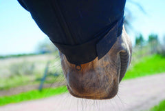 BENEFAB Rejuvenate SmartHood fabric close-up shows quick-dry breathable material.