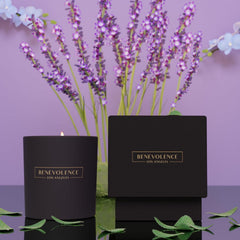 Benevolence LA black holiday candle with embossed label for elegant home ambiance.