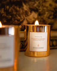 Benevolence LA Christmas fragrance candle with wood wick creates festive ambience in any room