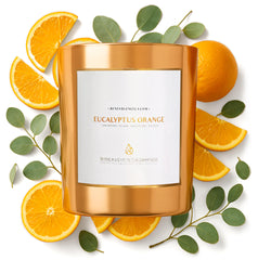 Benevolence LA eucalyptus orange wood wick candle 8oz enhances cozy spaces with bright citrus aroma