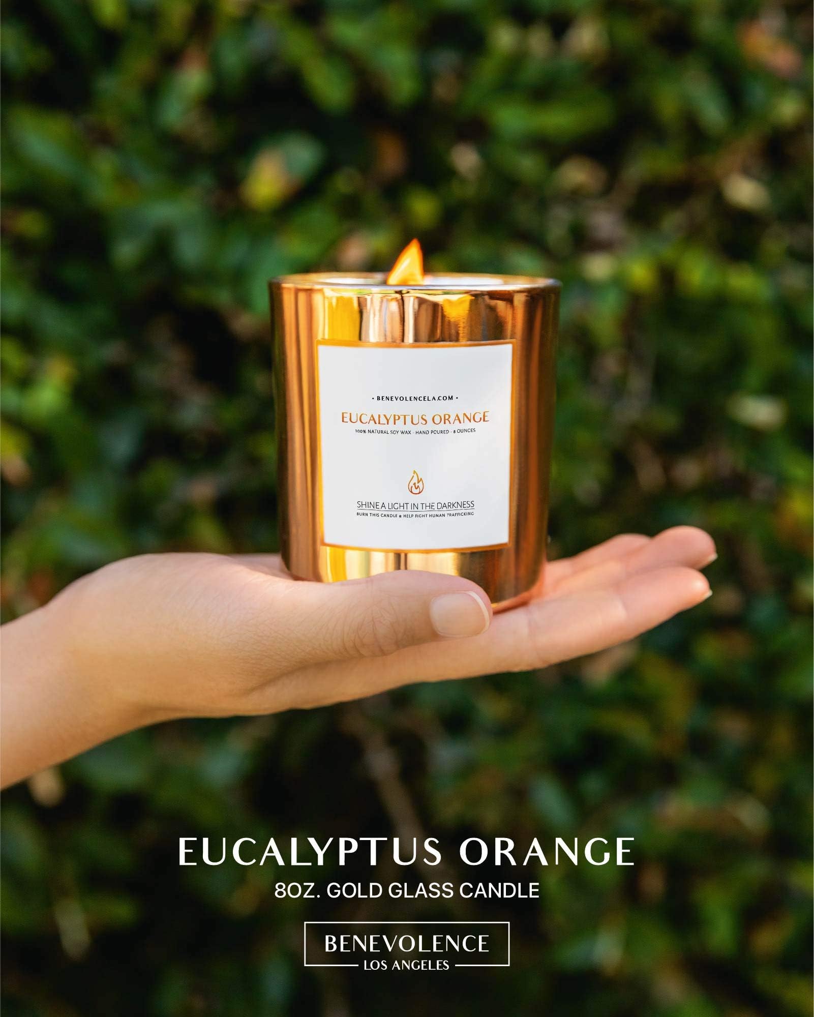 Benevolence LA soy wax candle in eucalyptus orange delivers clean burn and steady scent