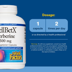 Close-up of a berberine capsule highlighting dosage and purity.