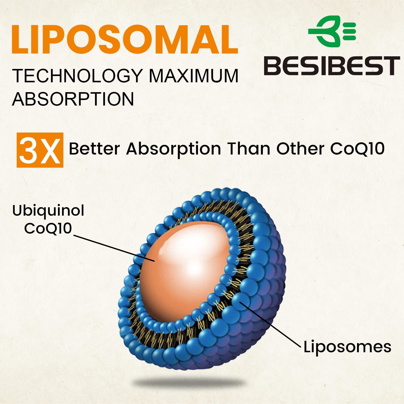 Besibest vegan ingredients label communicates plant-based CoQ10 purity and ethics