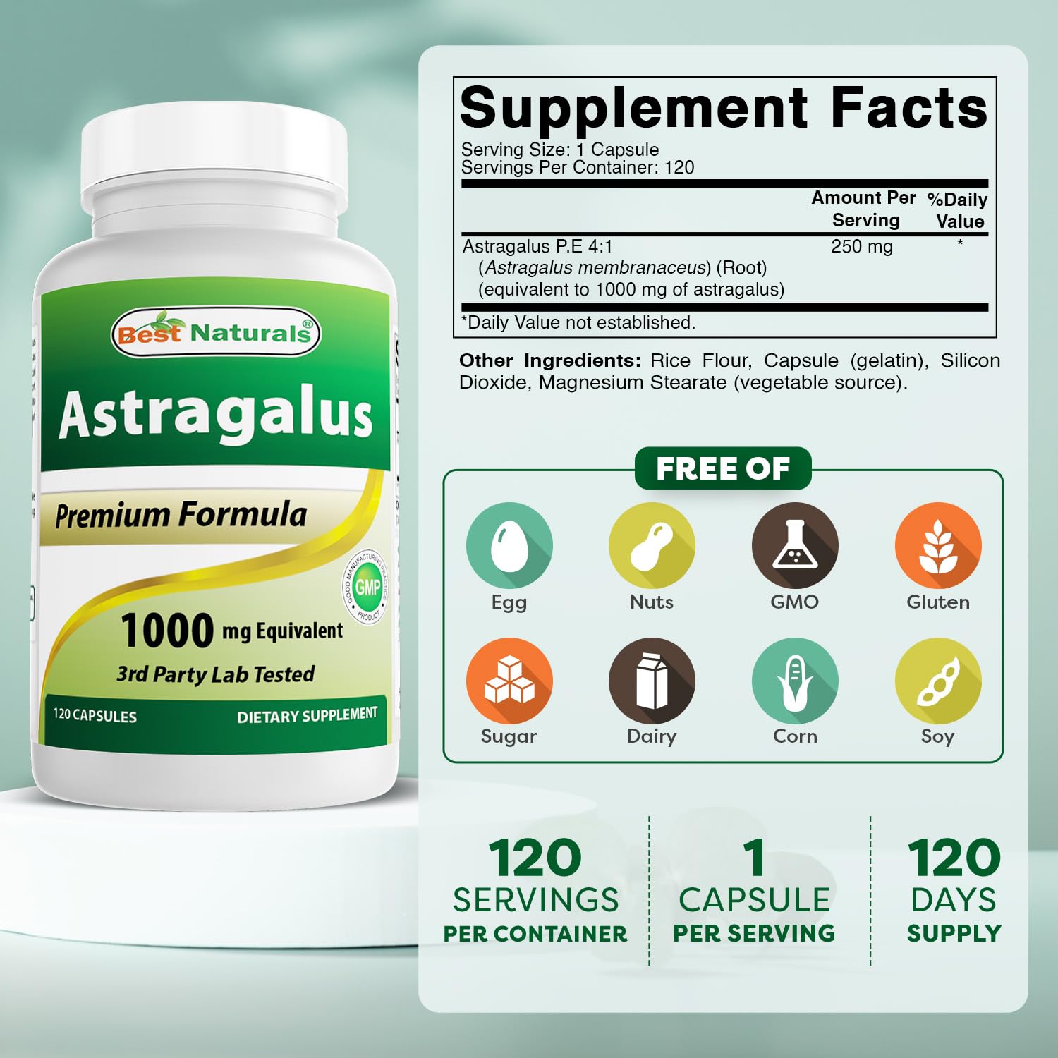 Close-up of Best Naturals astragalus capsule for easy swallowing