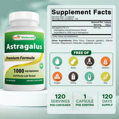 Close-up of Best Naturals astragalus capsule for easy swallowing