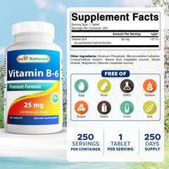 Best Naturals B-6 tablets label showing purity and quality.