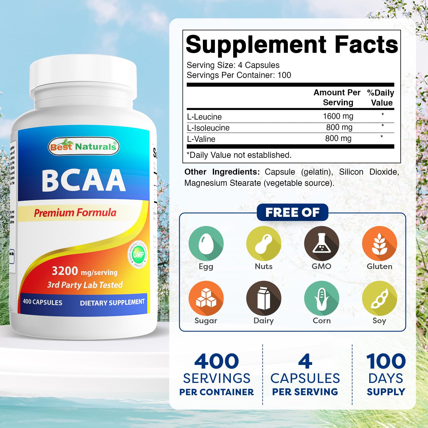 Best Naturals BCAAs capsules pack highlights 400-count supply for ongoing training.