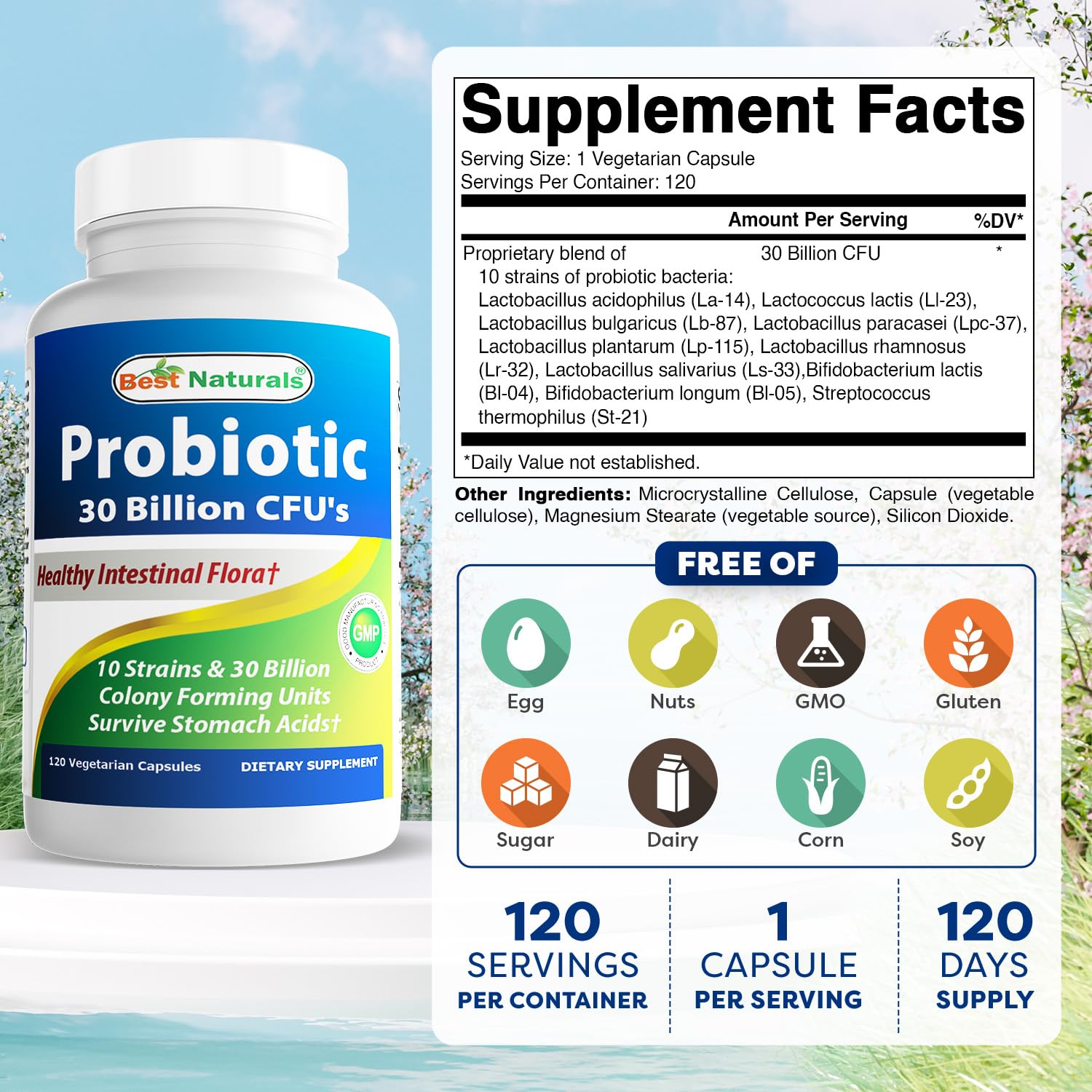 Best Naturals Probiotic 10 Strains capsules ready for daily digestive support