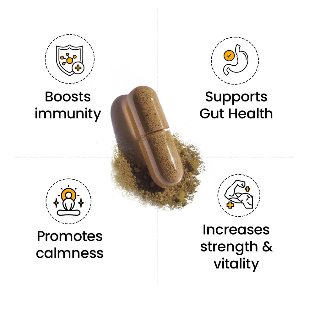 Better Alt Ashwagandha capsules for daily stress resilience and balanced energy