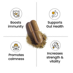 Better Alt Ashwagandha capsules for daily stress resilience and balanced energy