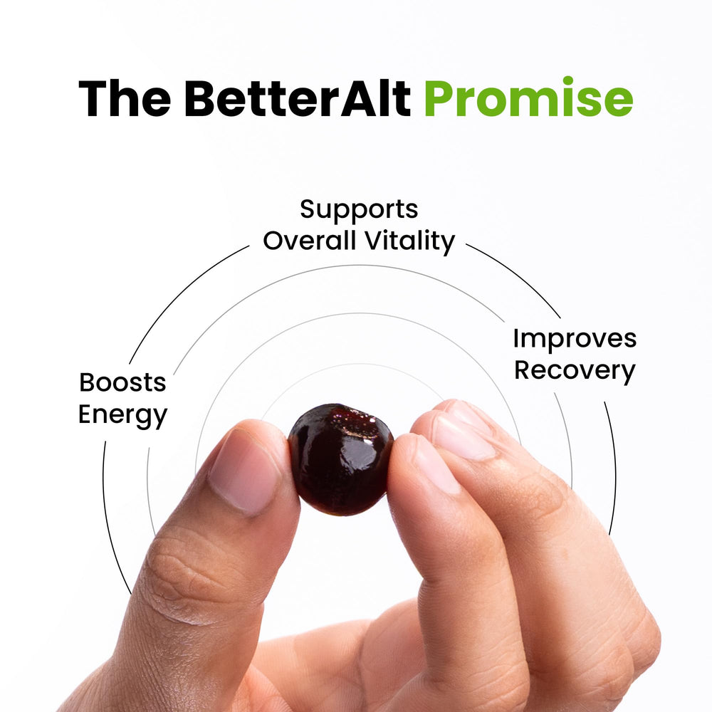 Better Alt Pure Himalayan Shilajit Gummies – High Potency Gold Grade ...
