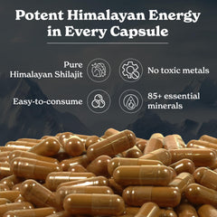 Better Alt Shilajit capsules amber bottle close-up for reliable daily use.